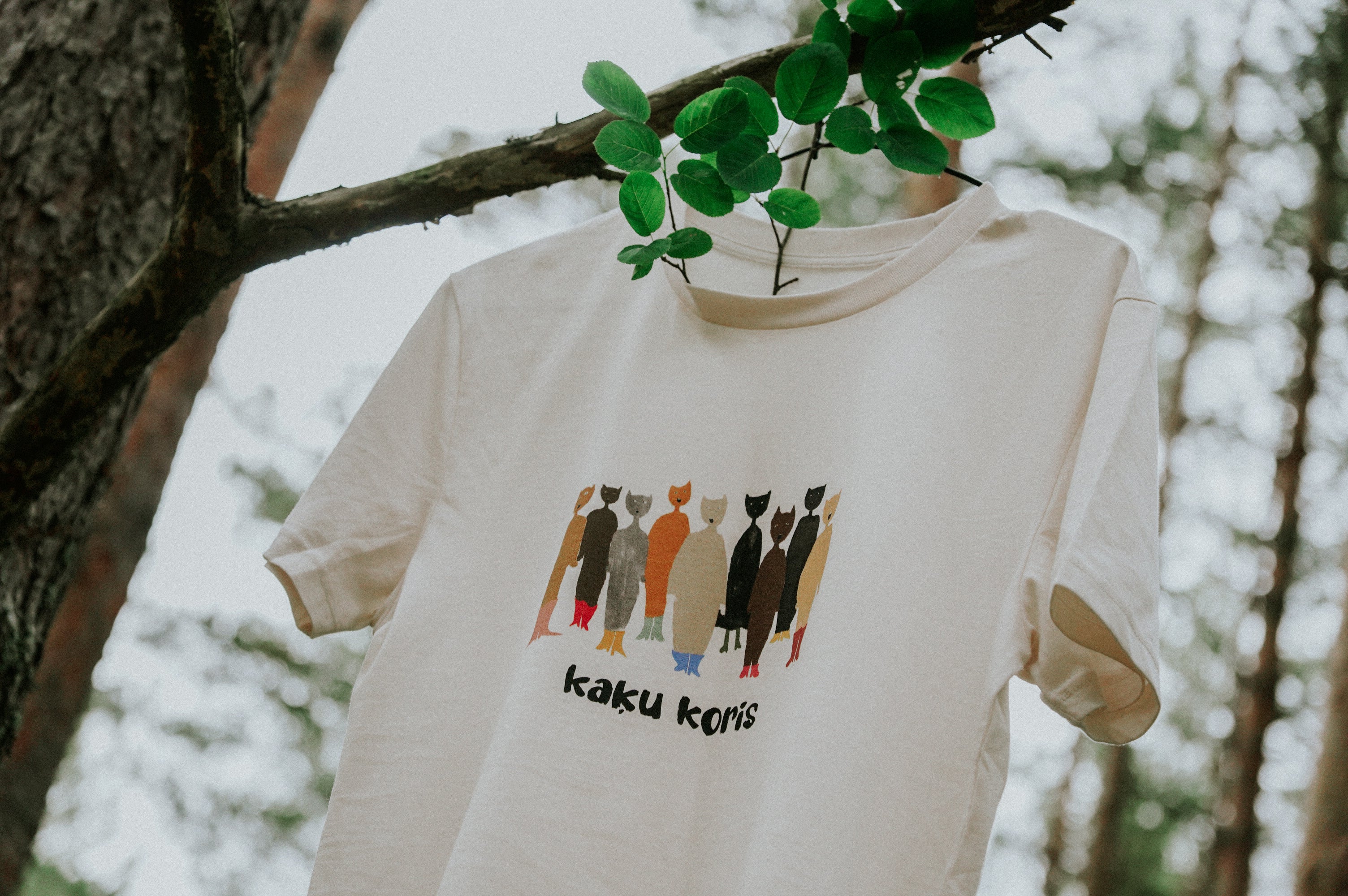 KAĶU KORIS